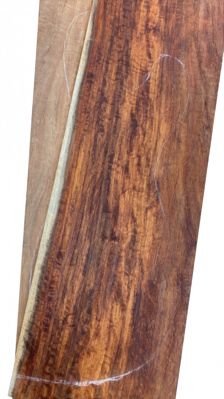 Top Koa, African AA with sapwood, 2-pcs. 8mm
